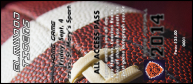 Football Schedule VIP Pass