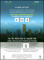 Hamilton Flyer