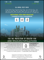 Mississauga Flyer