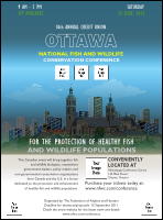 Ottawa Flyer