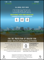 Regina Flyer