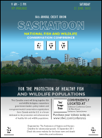 Saskatoon Flyer