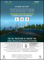 Winnipeg Flyer