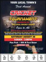 Cricket 2 Logo Flyer