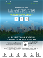 Edmonton Logo Flyer