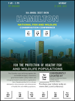 Hamilton Logo Flyer 