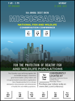 Mississauga Logo Flyer