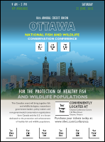 Ottawa Logo Flyer