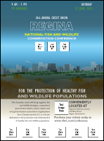 Regina Logo Flyer