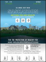 Saskatoon Logo Flyer