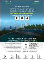 Winnipeg Logo Flyer