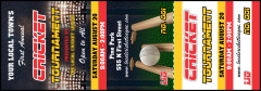 Cricket 2 Event Ticket