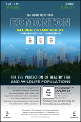 Edmonton Poster