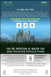 Mississauga Poster