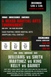 Contemporary Mixed Martial Arts Poster