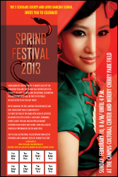 Chinese New Year Snake Poster