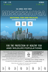 Mississauga Logo Poster