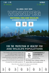 Winnipeg Logo Poster