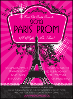 Paris Pink and Black Flyer