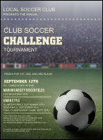 Soccer Stadium Flyer
