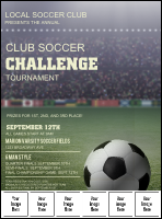 Soccer Stadium Logo Flyer