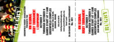 Rugby Event Ticket