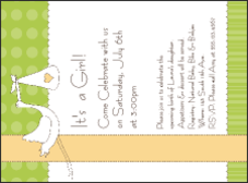 Baby Shower Invite 003