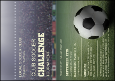 Soccer Stadium Postcard