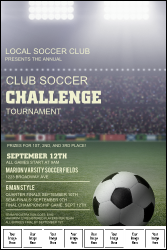 Soccer Stadium Logo Poster