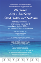 Nature Series - Blue Ocean Poster