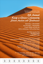 Nature Series - Desert Poster