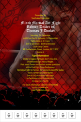 Mixed Martial Arts Poster
